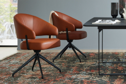 Dining Sessel ED 900.10