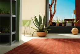 NATURITAS 100 COLOR / KING