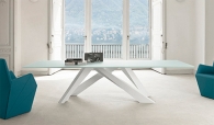 BIG TABLE B: 200 cm